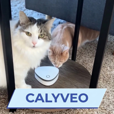 Calyveo | Smoke, Pet & Cooking Odor... Gone