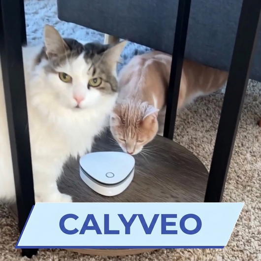 Calyveo | Smoke, Pet & Cooking Odor... Gone